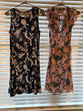 Loft Summer Dresses